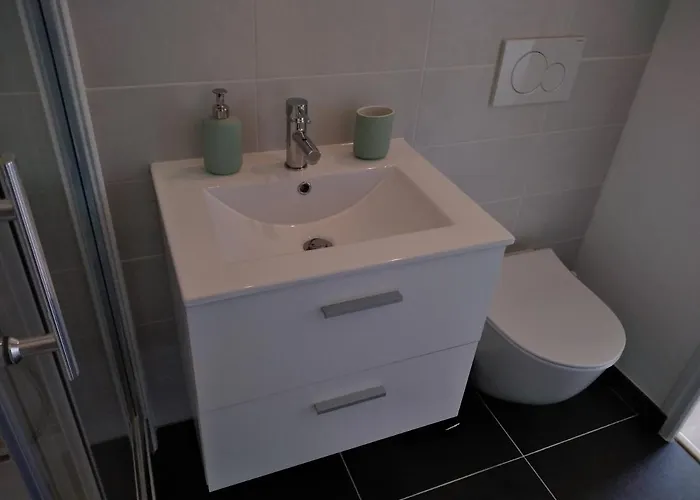 公寓 L'albatre 迪耶普